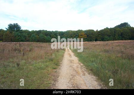 Roche Ist Ein CRI State Park in Friendship, Wisconsin, USA. Stockfoto