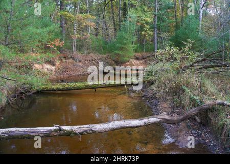 Roche Ist Ein CRI State Park in Friendship, Wisconsin, USA. Stockfoto