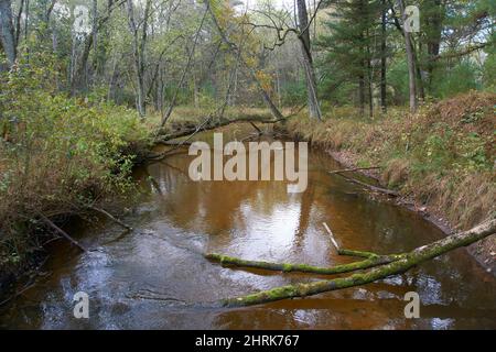 Roche Ist Ein CRI State Park in Friendship, Wisconsin, USA. Stockfoto