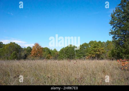 Kettle Moraine State Park Southern Unit Stockfoto