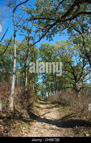 Kettle Moraine State Park Southern Unit Stockfoto