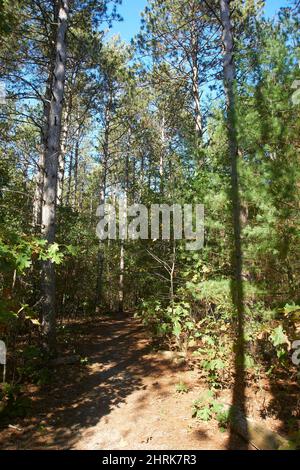 Kettle Moraine State Park Southern Unit Stockfoto