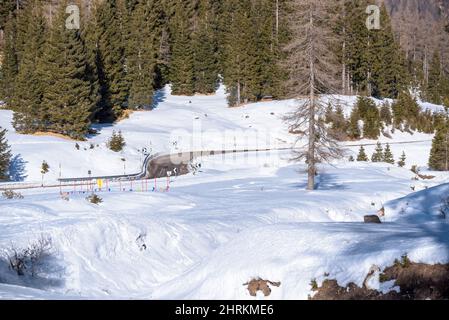 Kurve auf einer Bergpassstraße, die an einem Wintertag vom Schnee befreit wurde Stockfoto