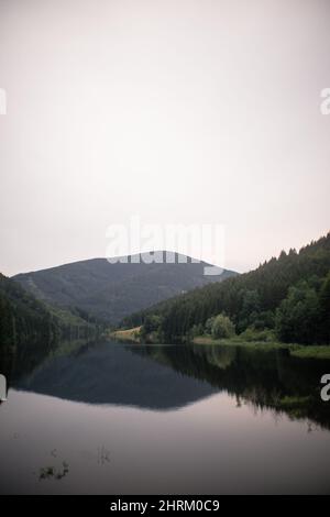 Vertikale Aufnahme eines von Bäumen umgebenen Sees Stockfoto
