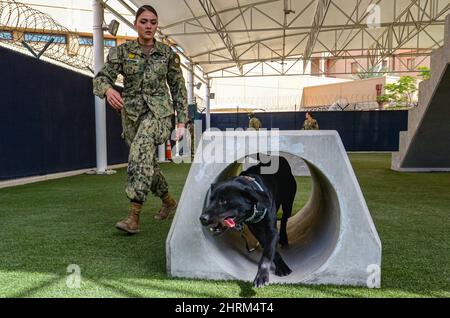 9. Februar 2022 - Manama, n/a, Bahrain - Master-at-Arms 2. Klasse Lizbeth Fernandez-Payamps trainiert ihren militärischen Arbeitshund (MWD), indem er ihn während der Naval Support Activity (NSA) Bahrain durch den MWD-Einarbeitungskurs führt. NSA Bahrain ermöglicht die Vorwärtsoperationen und Reaktionsfähigkeit der US- und alliierten Streitkräfte zur Unterstützung der Mission Navy Region Europe, Africa, Centrals, um Dienstleistungen für die Flotte, den Kriegsjäger und die Familie zu erbringen. Quelle: U.S. Navy/ZUMA Press Wire Service/ZUMAPRESS.com/Alamy Live News Stockfoto