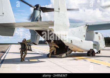 US-Soldaten mit 8. Forward Resuscitation and Surgical Detachment (FRSD) führen medizinische Evakuierungsübungen mit einem MV-22B Osprey-Flugzeug durch, das Marine Medium Tilitrotor Squadron (VMM) 268 auf der Marine Corps Base Hawaii, Hawaii, 15. Februar 2022, zugewiesen wurde. Diese gemeinsame Schulung wurde durchgeführt, um die gemeinsamen Boden- und Luftkapazitäten zwischen der US-Armee und dem Marine Corps zu erweitern. (USA Marine Corps Foto von CPL. Dalton J. Payne) Stockfoto