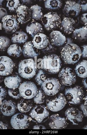 Frisch gepflückte Brombeerfrucht Hintergrund, vertikaler Rahmen Stockfoto
