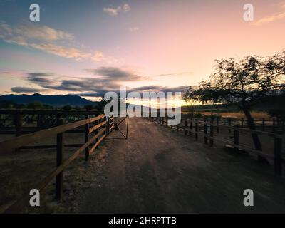 Wunderschöne Aufnahme einer Agave Plant Farm für Mezcal in Oaxaca, Mexiko bei Sonnenuntergang Stockfoto