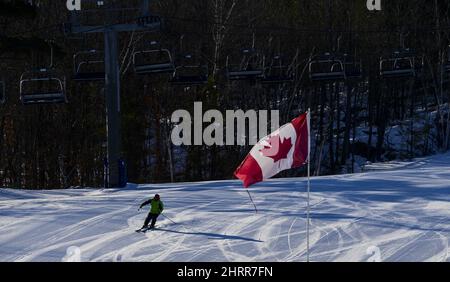 Die Skifahrer sind auf die Piste gestoßen, als der Mount Pakenham im Osten Ontarios am Donnerstag, den 11. Februar 2021, nach der Schließung aufgrund der COVID-19-Pandemie in Pakenham, Ontario, wieder eröffnet wird. DIE KANADISCHE PRESSE/Sean Kilpatrick