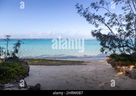 Weißer Sandstrand und klares blaues Wasser auf Lifou Island in Neukaledonien. Stockfoto