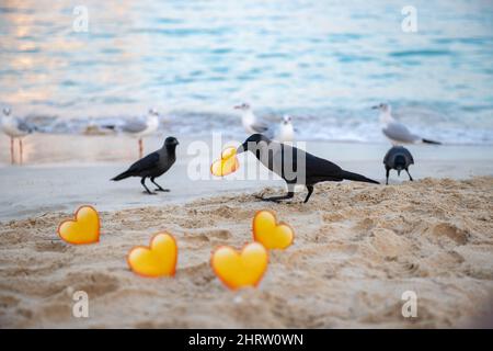 Krähe hält ein gelbes Herz im Schnabel am Strand Stockfoto