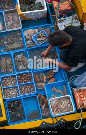 Ein lokaler Fischer verkauft den Fang von einem kleinen Boot an der Ufermauer von Sai Kung in Hongkong Stockfoto