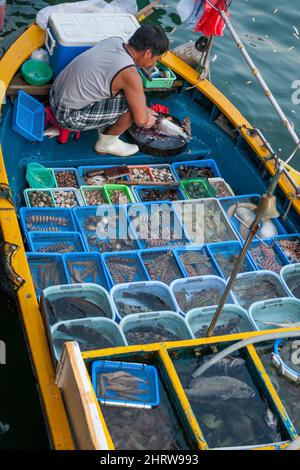 Ein lokaler Fischer verkauft den Fang von einem kleinen Boot an der Ufermauer von Sai Kung in Hongkong Stockfoto