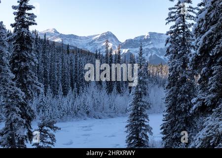 Schwarz-weiß schneebedeckte Bäume mit Bergen Stockfoto