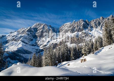 Landschaftlich schöner Blick auf einen Wald im Vordergrund der schneebedeckten Berge in Hochkonig, Österreich Stockfoto