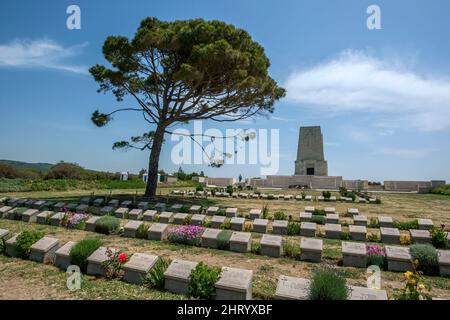 Die Grabsteine gefallener australischer und neuseeländischer Soldaten aus dem Ersten Weltkrieg auf dem Lone Pine Cemetery auf der Halbinsel Gallipoli in der Türkei. Stockfoto