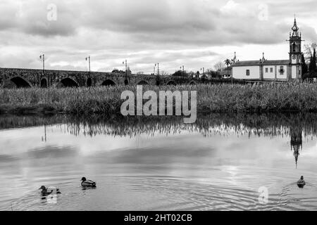 Graustufenaufnahme von im Fluss schwimmenden Enten und einer gewölbten Brücke mit Lampen im Hintergrund Stockfoto