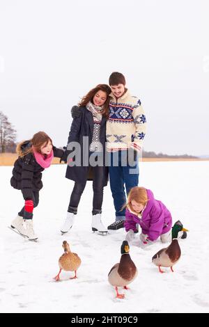 Ein winterlicher Ausflug. Kaufen Sie ein glückliches Paar und ihre Kinder, die an einem frischen Wintertag im Schnee mit Gänsen spielen. Stockfoto
