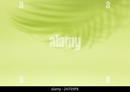 Abstrakter Hintergrund mit natürlichen Schatten von Palmblättern auf einer grünen Wand. Silhouette von Palmblatt auf grünem Hintergrund Stockfoto