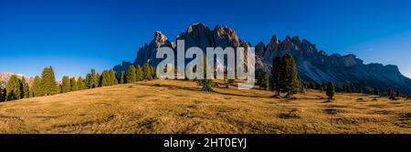 Panoramablick auf Nordwände und Gipfel der Geisler Gruppe, von der Geisler Alm im Herbst gesehen. Stockfoto