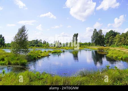 Schöne Aufnahme eines Moors im Naturschutzgebiet Diepholzer Moor bei Diepholz Stockfoto