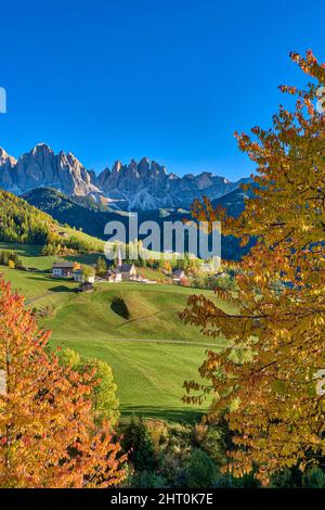 Blick auf die Kirche St. Magdalena im Villnösstal, Nordwände und Gipfel der Geisler-Gruppe in der Ferne, im Herbst. Stockfoto