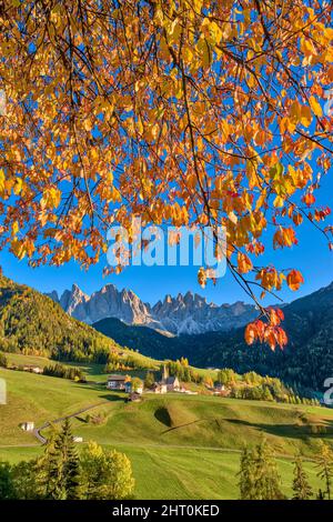 Blick auf die Kirche St. Magdalena im Villnösstal, Nordwände und Gipfel der Geisler-Gruppe in der Ferne, im Herbst. Stockfoto