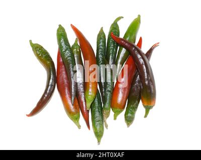Rote und grüne Chilischoten isoliert auf weißem Hintergrund Stockfoto