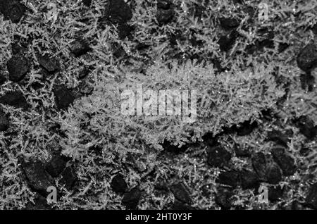 Graustufenaufnahme von kleinen, glitzenden Eiskristallen auf dem Gras Stockfoto