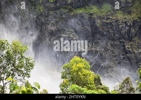 Nahaufnahme der Schlucht unterhalb der Barron Falls bei Kuranda in Queensland, Australien Stockfoto