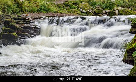 Blick auf einen kleinen Wasserfall am East Lyn River Stockfoto