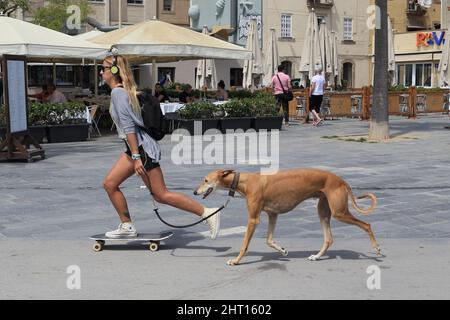 BARCELONA, SPANIEN - 17. MAI 2017: Eine unbekannte junge Frau läuft mit einem Hund entlang der Küste von Barceloneta. Stockfoto