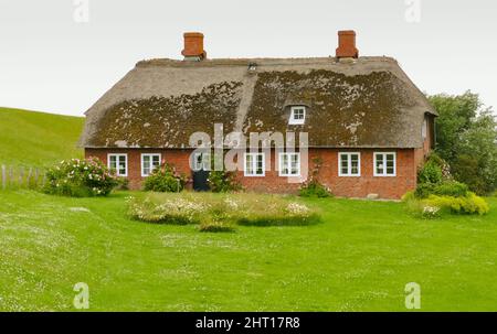 Traditionelles Reethaus auf Pellworm, einer Insel in Nordfriesland, Deutschland Stockfoto