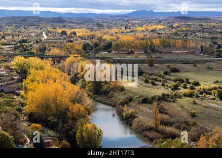 Bäume am Fluss Guadalope Herbstsaison, orange und gelbe Bäume in Alcañiz, Teruel, Aragón, Spanien. Stockfoto