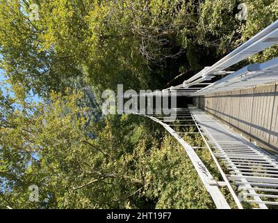 Vertikale Aufnahme einer hängenden Holzbrücke in einem Wald an einem sonnigen Tag Stockfoto