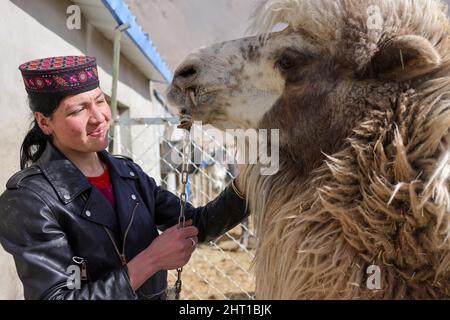 Kashgar, China. 24.. Februar 2022. (220226 24) -- KASHGAR, 26 2022. Februar 2022 (Xinhua) -- Ein Dorfbewohner kümmert sich zu Hause im Dorf Rasekam im Taxkorgan Tajik Autonomen Kreis, nordwestlich der Autonomen Region Xinjiang Uygur, um ein Kamel. Rasekam ist ein kleiner Weiler, der sich auf dem Pamir Plateau befindet, mit einer durchschnittlichen Höhe von 3.000 Metern über dem Meeresspiegel. Früher bestand Rasekam aus 12 Gruppen von Hirten, die verstreut in der Bergregion residierten, war das Dorf arm an Transport und Lebensunterhalt. Seit 2017 hat die lokale Regierung damit begonnen, Einheimische aus dem unwirtlichen A zu verlagern Stockfoto