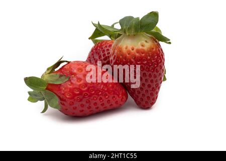 Drei ganze Erdbeeren mit ihren grünen Blättern isoliert auf weißem Hintergrund. Stockfoto