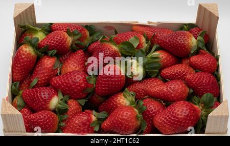 Einige leckere Erdbeeren im Hintergrund, frisch gepflückt und in eine Holzkiste gelegt. Eine der größten Ernten wird in der Provinz Huelva, Sp Stockfoto