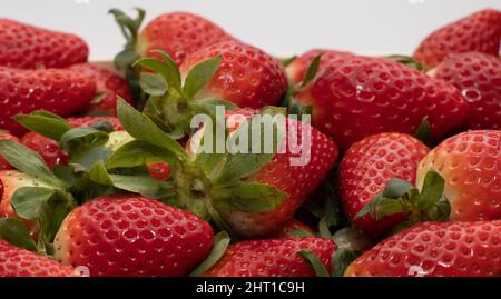 Einige leckere Erdbeeren im Hintergrund, frisch gepflückt und in eine Holzkiste gelegt. Eine der größten Ernten wird in der Provinz Huelva, Sp Stockfoto