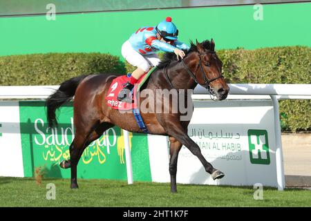 Riad, USA. 26.. Februar 2022. 26. Februar 2022: Authority #2 mit Christophe Lemaire gewinnt am 26.. Februar 2022 den Neom Turf Cup auf der King Abdulaziz Racecourse in Riad, Saudi-Arabien. Shamela Hanley/Eclipse Sportswire/CSM/Alamy Live News Stockfoto