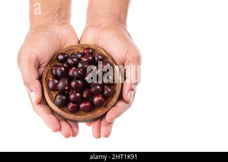 Euterpe oleracea - Acai Frucht der Palm Manaca Stockfoto