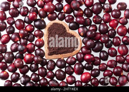 Euterpe Oleracea - Beeren Und Acai-Pulver Aus Der Amazonas-Frucht Stockfoto