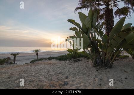 Schöner Strand in Matalascanas, Spanien. Turm namens Torre de la higuera. Stockfoto