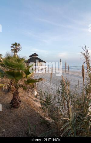 Eine Strandbar zwischen Palmen am schönen Strand von Matalascañas, Spanien. Urlaubskonzept. Stockfoto