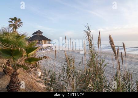 Eine Strandbar zwischen Palmen am schönen Strand von Matalascañas, Spanien. Urlaubskonzept. Stockfoto