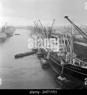 King George Dock, Hull, East Yorkshire. März 1965. Stockfoto