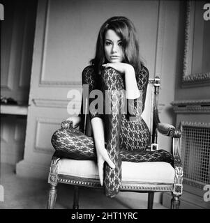 Die Parisienne-Schauspielerin Claudine Auger, die Domino im James Bond-Film Thunderball spielen wird, der hier während eines Interviews mit dem Daily Mirror-Showbusiness-Reporter Donald Zec zu sehen ist. 17.. Februar 1965 Stockfoto