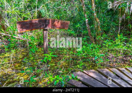 Leere Informationen Eingang Wanderwege und Willkommens-Sing-Board im Sian Ka'an Nationalpark in Muyil Chunyaxche Quintana Roo Mexiko. Stockfoto