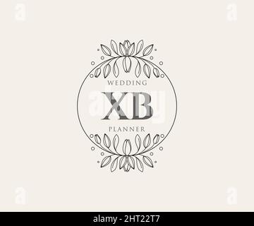 XB Initials Letter Hochzeit Monogram Logos Kollektion, handgezeichnete moderne minimalistische und florale Vorlagen für Einladungskarten, Save the Date, elegant Stock Vektor