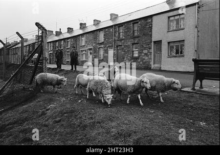 Abertillery, die größte Stadt des Ebbw-Fach-Tals in der ehemaligen historischen Grafschaft Monmouthshire, der heutigen Grafschaft Gwent. 17.. Februar 1965. Stockfoto